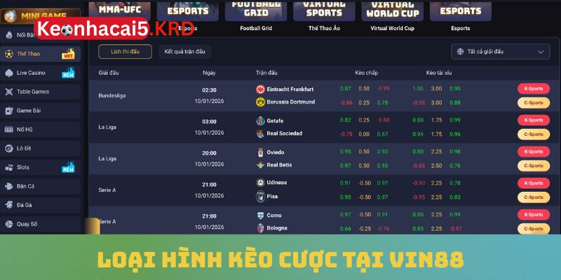 Loại hình kèo cược tại Vin88