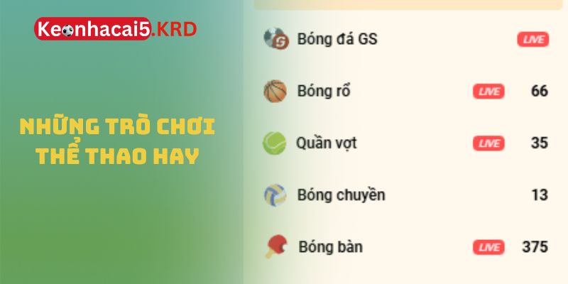 Những trò chơi thể thao hay