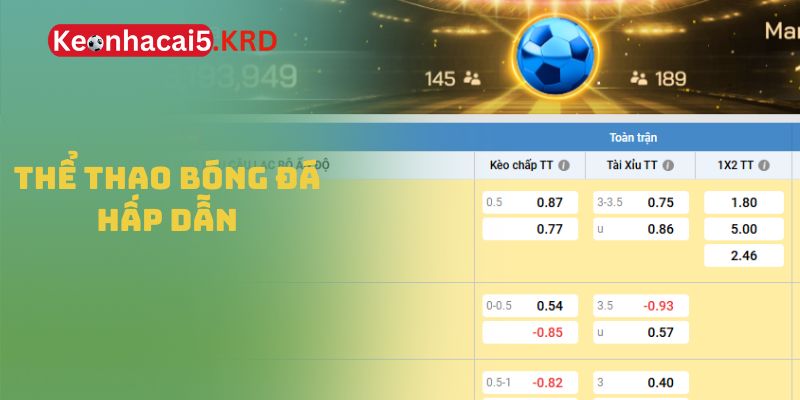 Thể thao bóng đá hấp dẫn